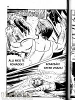 A disznó 9. rész - Nem tervezett atrocitás - Erotikus képregény - 35. oldal