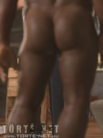 A festő - Erotikus képregény - 17. oldal