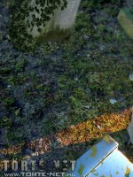 Rituális beavatás - Erotikus képregény - 7. oldal