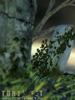 Rituális beavatás - Erotikus képregény - 11. oldal