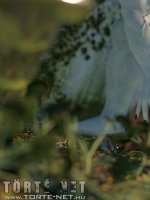 Rituális beavatás - Erotikus képregény - 12. oldal