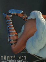 Rituális beavatás - Erotikus képregény - 21. oldal