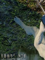 Rituális beavatás - Erotikus képregény - 28. oldal