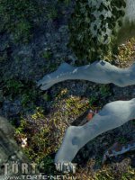 Rituális beavatás - Erotikus képregény - 34. oldal