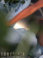 Rituális beavatás - Erotikus képregény - 44. oldal