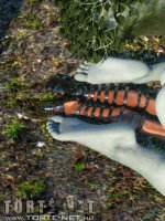 Rituális beavatás - Erotikus képregény - 66. oldal