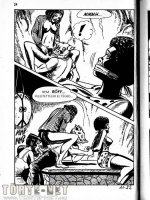 A disznó 11. rész - Áldottan az asszonyok közt - Erotikus képregény - 13. oldal