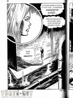 A disznó 11. rész - Áldottan az asszonyok közt - Erotikus képregény - 28. oldal