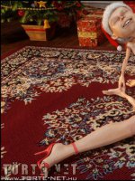 Karácsonyi ajándék - Erotikus képregény - 31. oldal