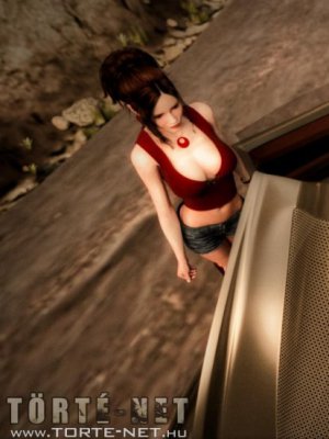 Lerobbanva - Erotikus képregény