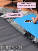 Kamuprofil - Erotikus képregény - 51. oldal