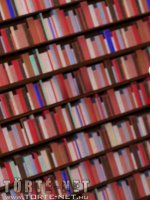 Kamuprofil - Erotikus képregény - 87. oldal