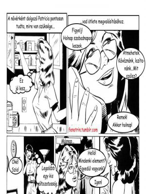 Játszadozó feleségek - Erotikus képregény