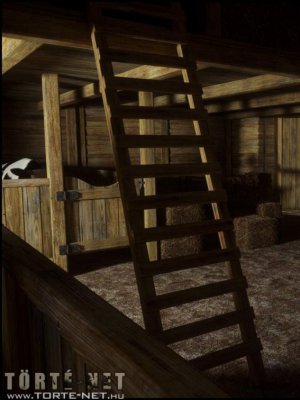 Ház felügyelet - Erotikus képregény