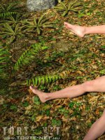 Szex az erdőben - Erotikus képregény - 26. oldal