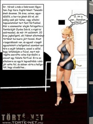 Német alkotmánytörténet - Erotikus képregény