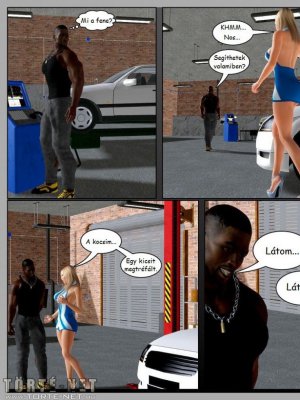 Szervízdíj - Erotikus képregény