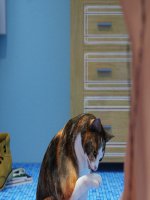 Hárman a fürdőben - Erotikus képregény - 101. oldal