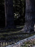 Piroska és a farkas - Erotikus képregény - 8. oldal