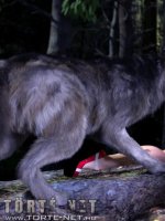 Piroska és a farkas - Erotikus képregény - 11. oldal