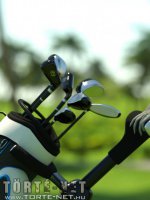 Golfpályán - Erotikus képregény - 4. oldal