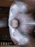 A vezeklés 1. rész - Erotikus képregény - 49. oldal