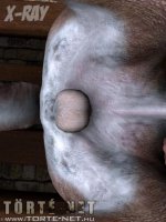 A vezeklés 1. rész - Erotikus képregény - 50. oldal