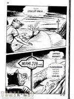 A disznó 14. rész - A disznó élete - Erotikus képregény - 11. oldal