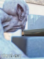 Egyedül otthon - Erotikus képregény - 10. oldal