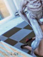 Egyedül otthon - Erotikus képregény - 45. oldal