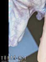 Egyedül otthon - Erotikus képregény - 56. oldal