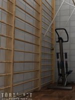 Alice naplója 16. rész - A kemény edzés a sikerek titka - Erotikus képregény - 7. oldal