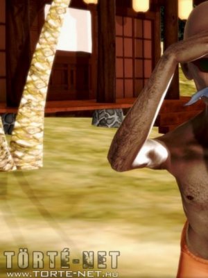 Dragonball nyugdíjas mesterének napjai - Erotikus képregény