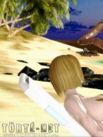 Dragonball nyugdíjas mesterének napjai - Erotikus képregény