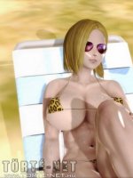 Dragonball nyugdíjas mesterének napjai - Erotikus képregény