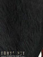 A tükör - Erotikus képregény - 29. oldal