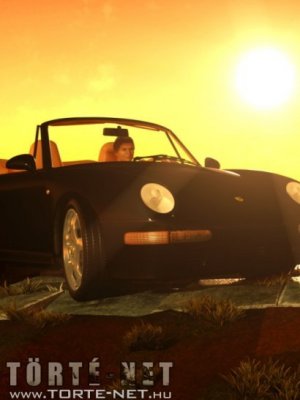 Rendőri intézkedés - Erotikus képregény