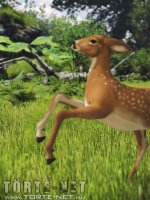 Vadászat - Erotikus képregény