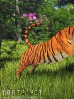 Vadászat - Erotikus képregény