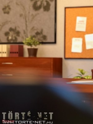 Az interjú - Erotikus képregény