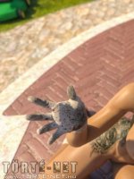 A szomszéd kertje - Erotikus képregény - 107. oldal