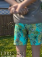 A szomszéd kertje - Erotikus képregény - 12. oldal