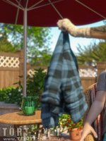 A szomszéd kertje - Erotikus képregény - 23. oldal