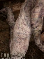 Barlangi szörnyek - Erotikus képregény - 46. oldal