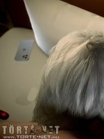 Követőket szerezni - Erotikus képregény - 209. oldal Követőket szerezni - Erotikus képregény - 209. oldal