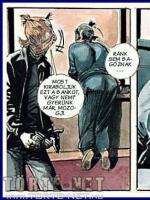 A műszak vége - Erotikus képregény - 9. oldal