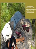 Fiatal szerelmesek 4. rész - Erotikus képregény - 40. oldal