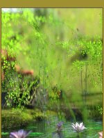 Fiatal szerelmesek 4. rész - Erotikus képregény - 53. oldal