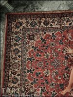 Zoe és Giselda kalandja - Erotikus képregény