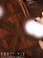 Tomb Raider - Lara és szeretője - Erotikus képregény - 16. oldal